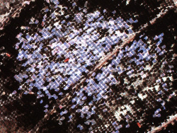 Mikroskop stereoskopowy Delta Optical Discovery 50