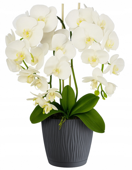 Mini kamera szpiegowska ukryta w doniczce kwiat podgląd na żywo