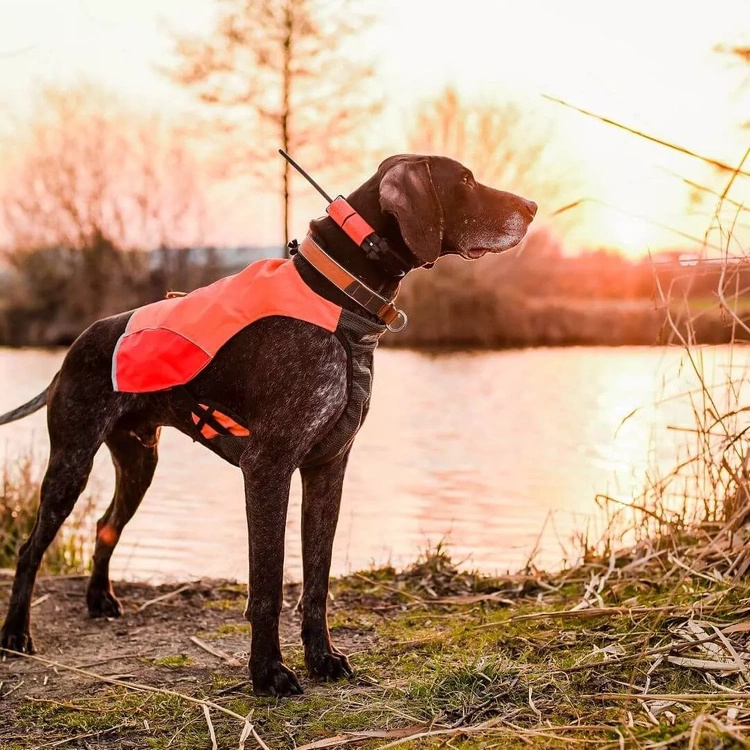 Lokalizator DOGTRACE DOG GPS X25