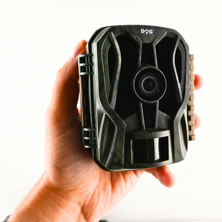 Fotopułapka DOGTRACE D-Guard Mini zamocowana na pasku do drzewa