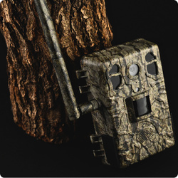 Zestaw Fotopułapka GSM Kamera Leśna TOPHUNT H6 Tree grain Panel Solarny 6xAkumulator 18650 Karta SD 32 GB Karta SIM Orange