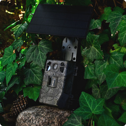 Fotopułapka gsm Kamera Leśna TOPHUNT H6 Dark Green