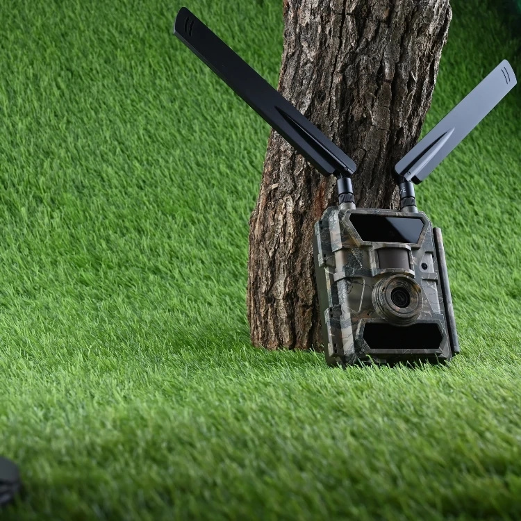 Fotopułapka SF4.0P-CG Pro GSM 4G LTE 24MPX Kamera Leśna