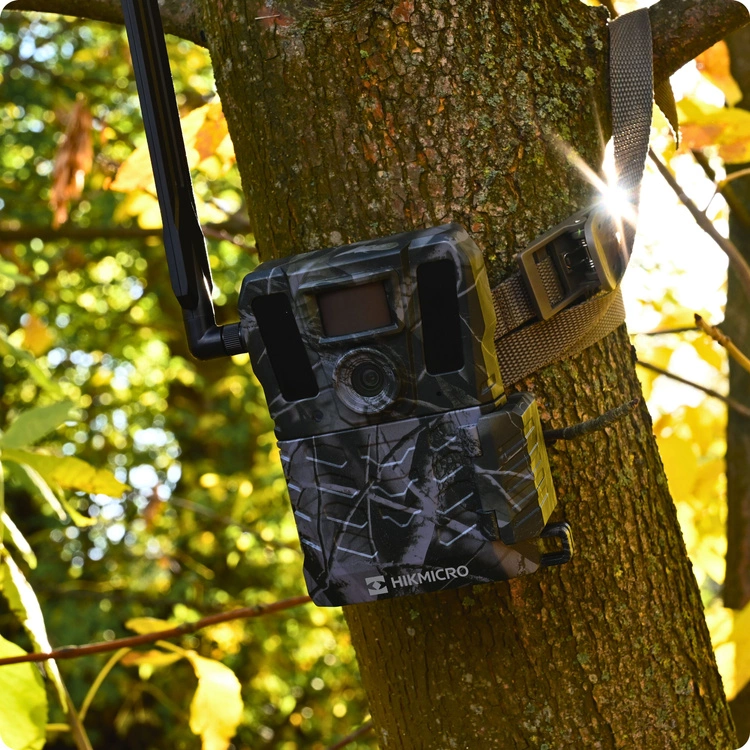 Fotopułapka HIKMICRO M15 zawiązana na drzewie