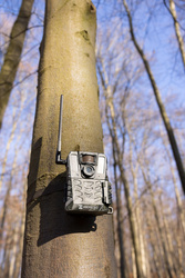 Fotopułapka HIKMICRO M15 GSM 4G LTE – Kamera Leśna z Aplikacją HIKMICRO Sight (Chmura, Full HD, IR 940nm)