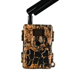 OUTLET Fotopułapka Kamera Leśna SF5.8CG GSM 4G LTE GPS 24Mpx Full-HD