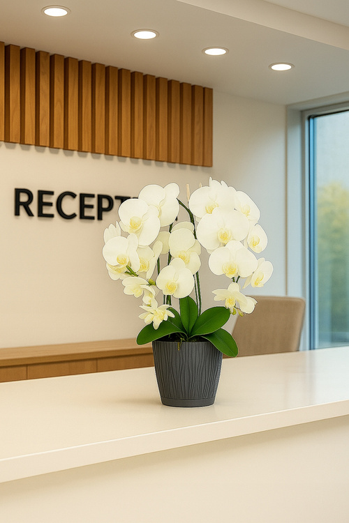 Mini kamera szpiegowska ukryta w doniczce kwiat podgląd na żywo