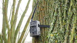 ZESTAW dla Pszczelarzy Fotopułapka HC-300M + Karta SIM i SD + Zasilanie