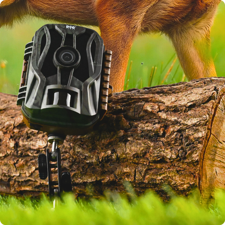 Fotopułapka do obserwacji zwierząt DOGTRACE D-Guard Mini