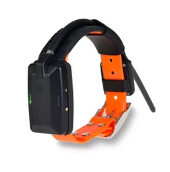 Lokalizator DOGTRACE DOG GPS X30B Short