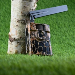 Fotopułapka z GPS i szyfrowaniem AES — ochrona mienia i zgodność z RODO