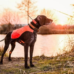 Lokalizator DOGTRACE DOG GPS X25