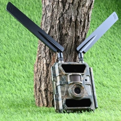 FotopułapkaSF4.0P-CWG Pro AES 4G z szyfrowaniem RODO – monitoring działki, firmy i lasu