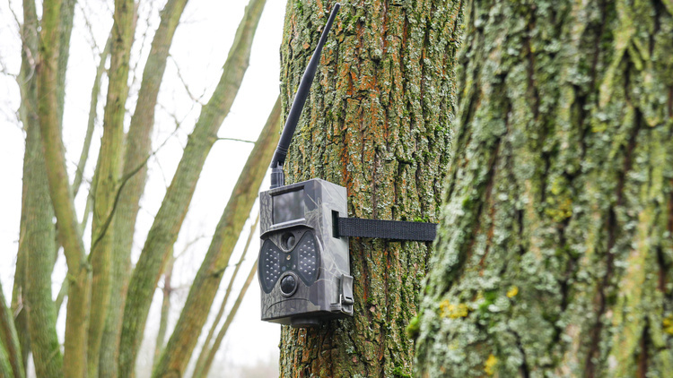 ZESTAW dla Pszczelarzy Fotopułapka HC-300M + Karta SIM i SD + Zasilanie