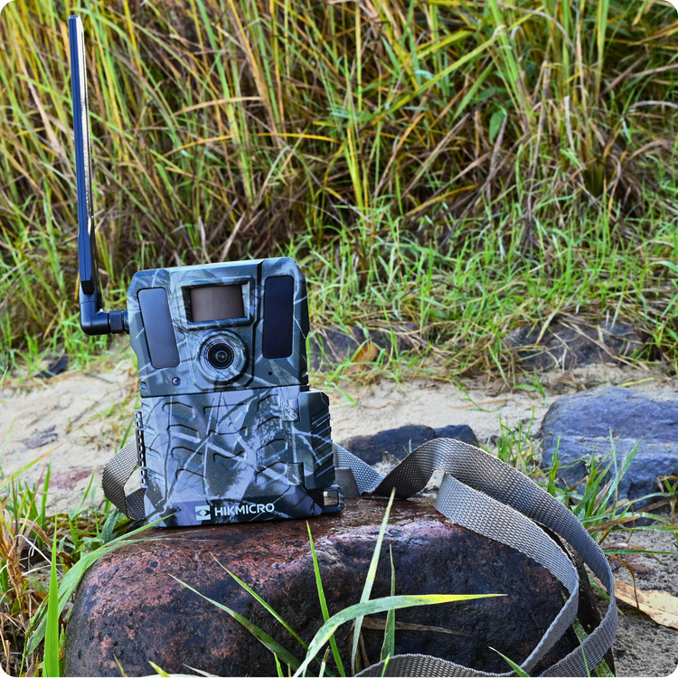 Fotopułapka HIKMICRO M15 GSM 4G LTE – Kamera Leśna z Aplikacją HIKMICRO Sight (Chmura, Full HD, IR 940nm)