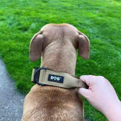 Taktyczna obroża dla psa z uchwytem Dogtrace K9 – rozmiar L