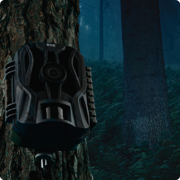 Fotopułapka do obserwacji zwierząt DOGTRACE D-Guard Mini