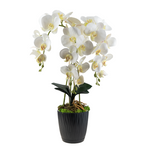 Ukryta mini kamera w doniczce kwiat z podglądem na żywo w telefonie