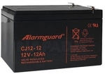 Akumulator 12V 12Ah Alarmguard 