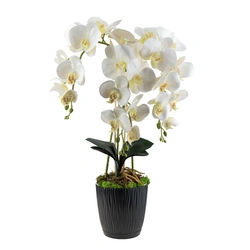 Ukryta mini kamera w doniczce kwiat z podglądem na żywo w telefonie